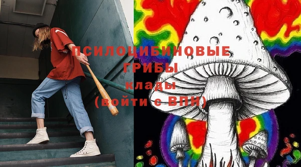 spice Ладушкин