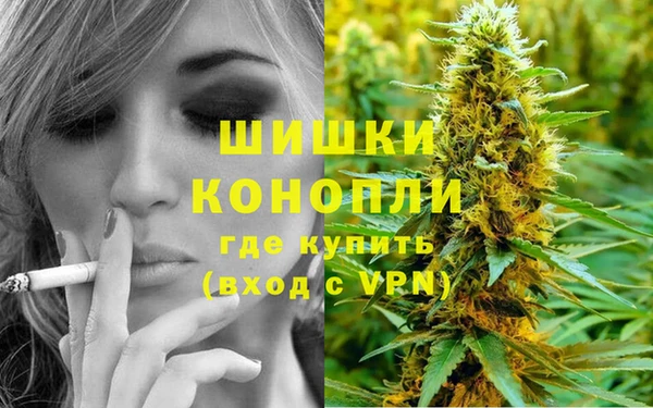 spice Лагань