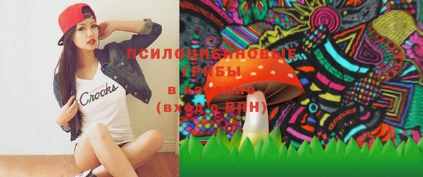 spice Лагань