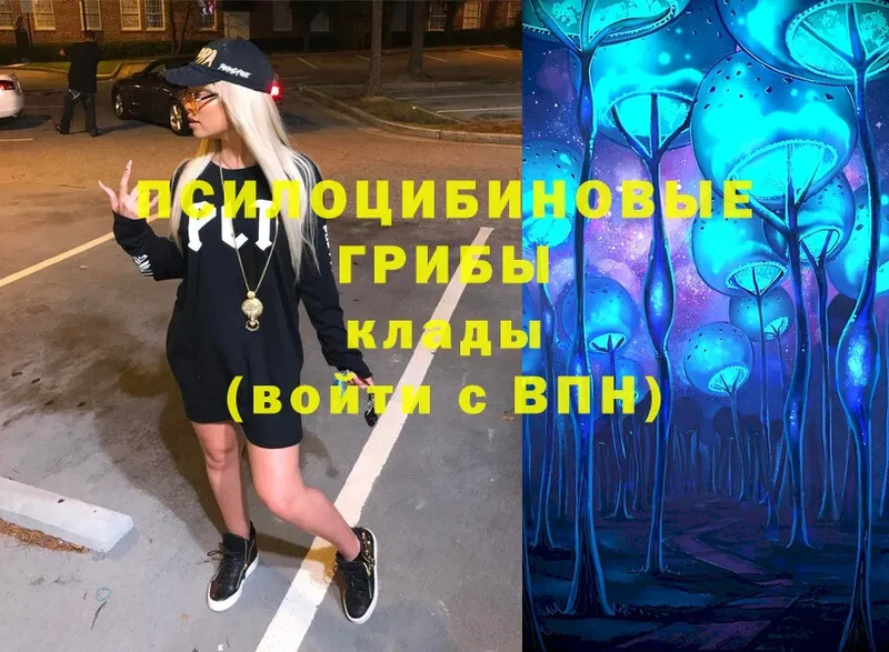Псилоцибиновые грибы Magic Shrooms  Димитровград 