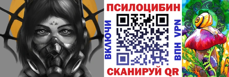 Галлюциногенные грибы Psilocybine cubensis  Димитровград 