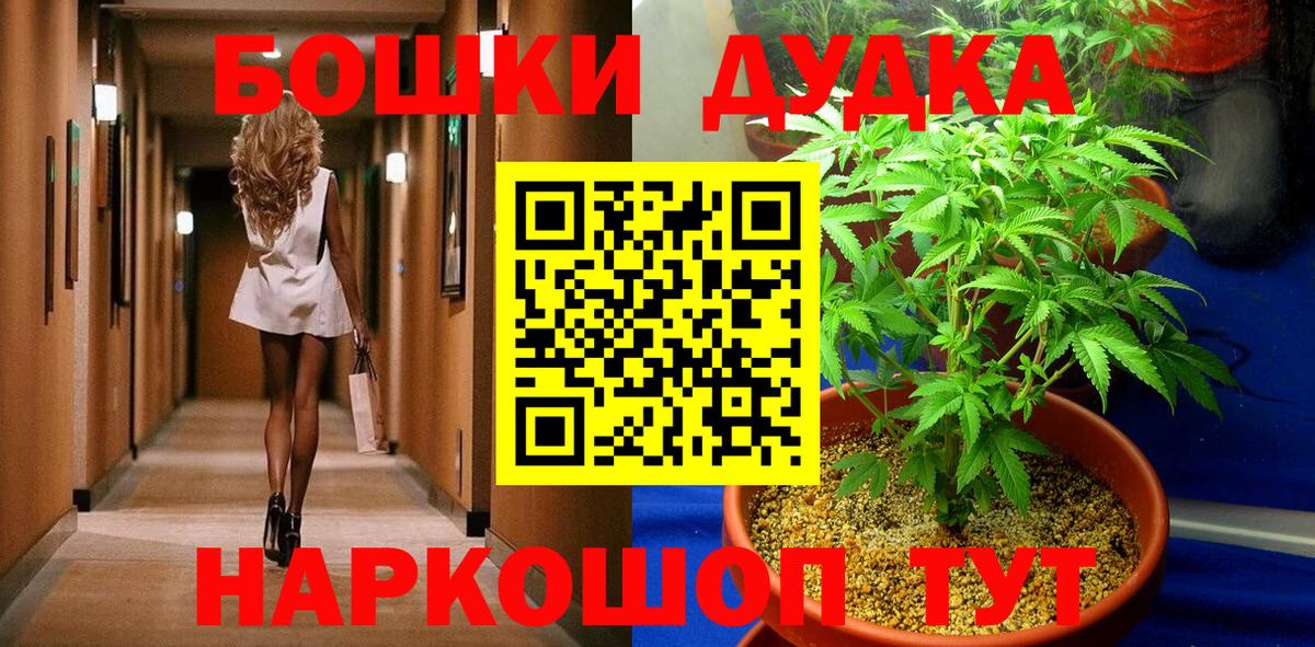 Бошки Шишки семена  Димитровград  Каннабис план  Марихуана SATIVA & INDICA 